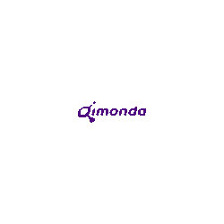 Qimonda