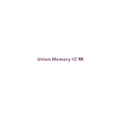 Union Memory